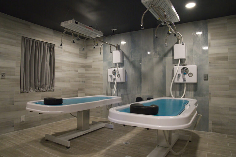 Vichy Table Shower And Hydrotherapy The Ultimate Therapy Qi Massage And Natural Healing Spa